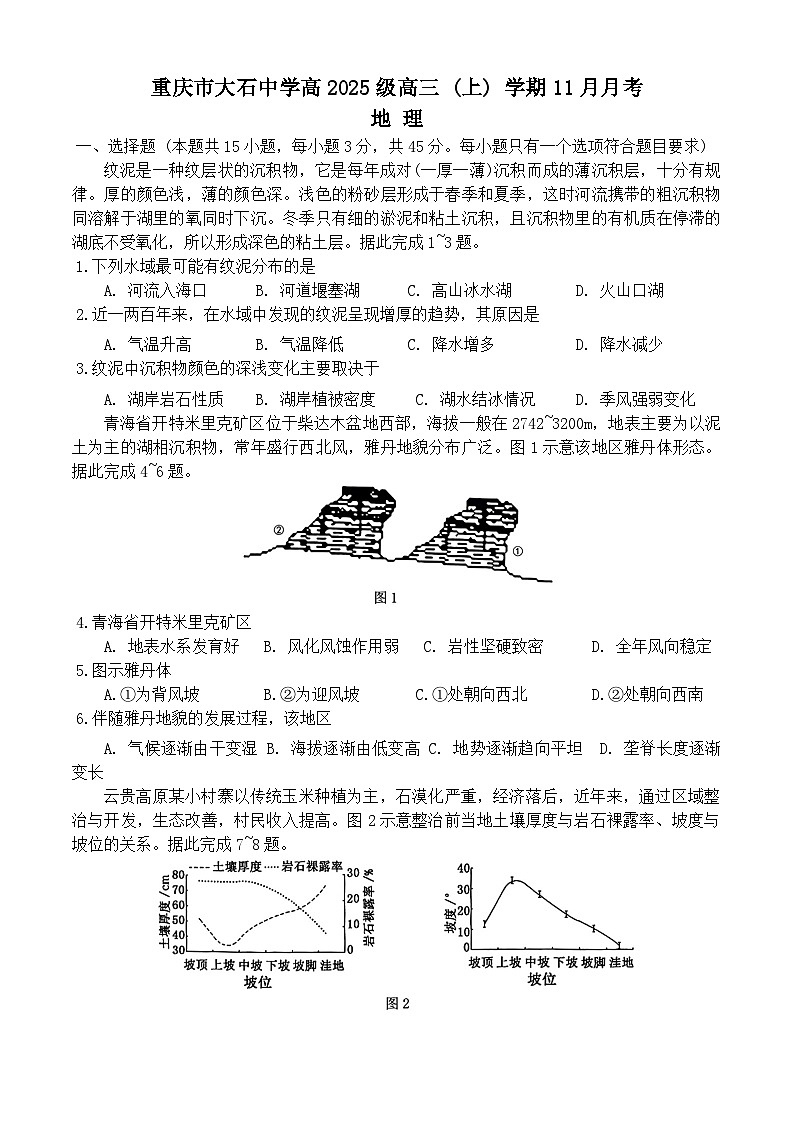 重庆市合川大石中学2024-2025学年高三上学期11月月考地理试题01
