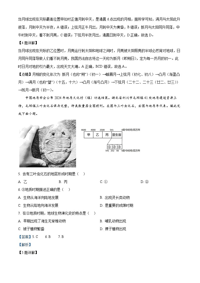 浙江省宁波市三锋教研联盟2024-2025学年高一上学期11月期中联考地理试卷（Word版附解析）03