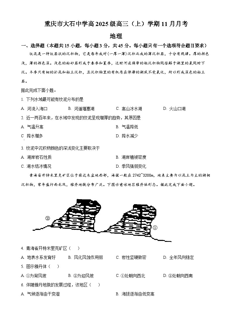 重庆市大石中学2024-2025学年高三上学期11月月考地理试题 Word版无答案第1页