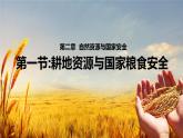 湘教版高中地理選修三 2.1《耕地資源與國家糧食安全》課件