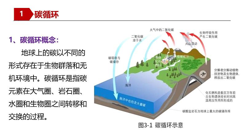 湘教版高中地理选修三 3.1《碳排放与国际减排合作》课件第6页