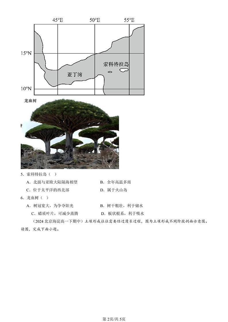 2022-2024北京重点校高一（下）期中真题地理汇编：植被与土壤章节综合第2页