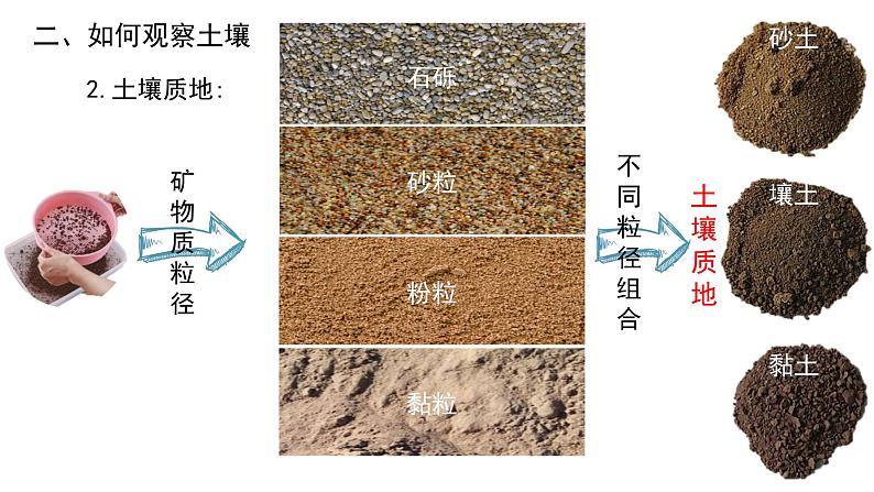 人教版（2019）必修一 第五章第二节 土壤课件第7页