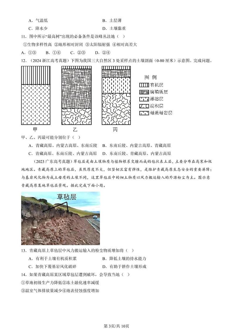2022-2024全国高考真题地理汇编：土壤第3页