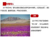 人教版高中地理必修一 5.1《植被》课件
