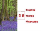 人教版高中地理必修一 5.1《植被》课件