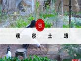 人教版高中地理必修一 5.2《土壤》课件