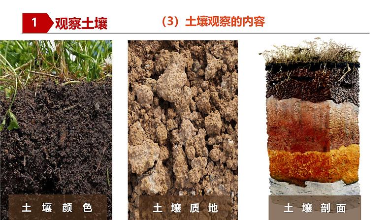 人教版高中地理必修一 5.2《土壤》课件第8页