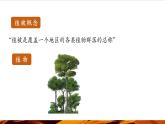 【優(yōu)質(zhì)課】湘教版高中地理必修一5.1《主要植被與自然環(huán)境》 課件+同步教案+視頻素材