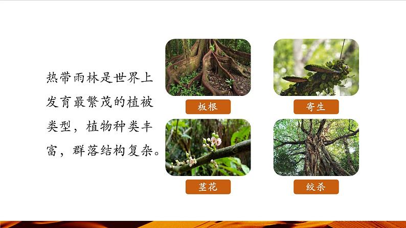 《主要植被与自然环境》第8页