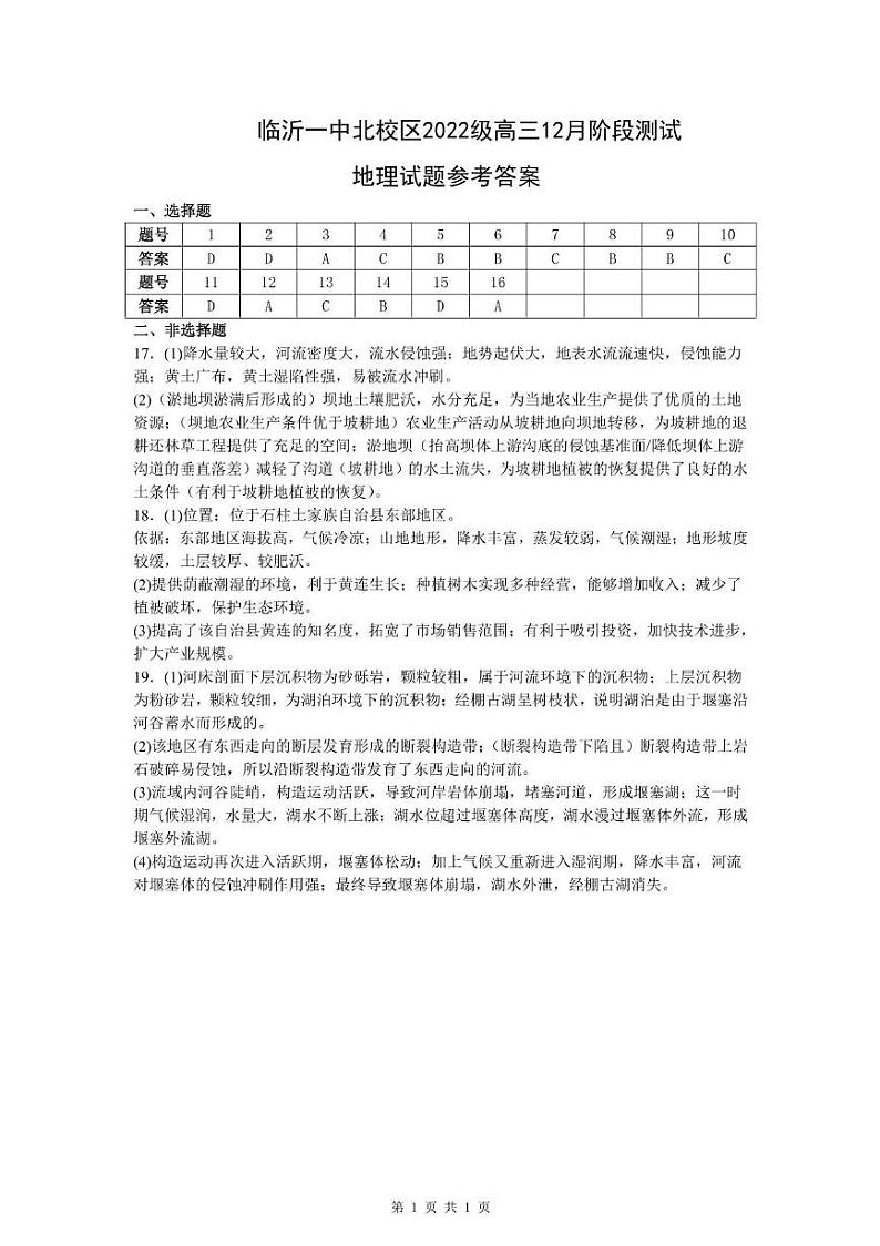 山东省临沂第一中学北校区2024-2025学年高三上学期12月阶段性测试地理 地理参考答案第1页