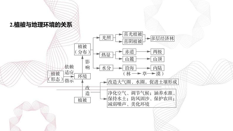 专题六 自然环境的整体性与差异性 第1节 植被与土壤-【专题复习】2025高考地理二轮复习课件ppt第6页