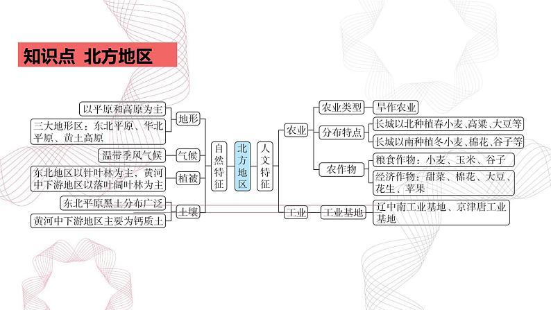 专题十六 中国地理 第2节 中国地理分区-【专题复习】2025高考地理二轮复习课件ppt第2页