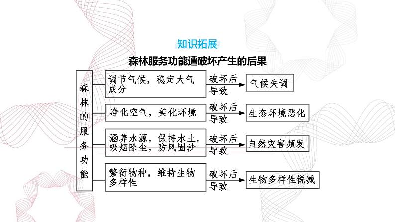 专题十四 资源、环境与国家安全 第1节 自然环境与人类社会-【专题复习】2025高考地理二轮复习课件ppt第8页