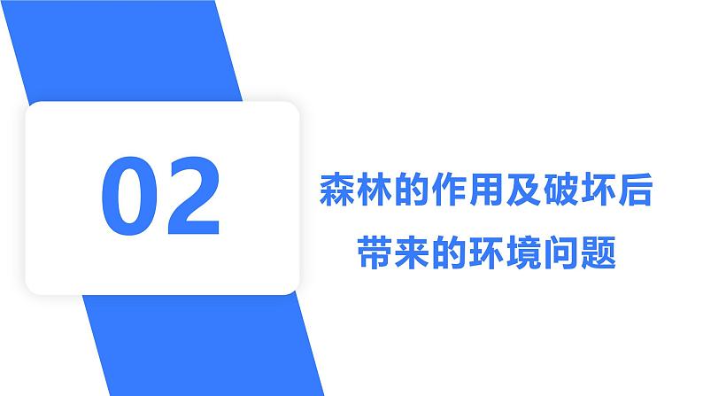 备战2025年高考地理二轮专题复习课件37森林破坏（以亚马孙雨林为例）第6页