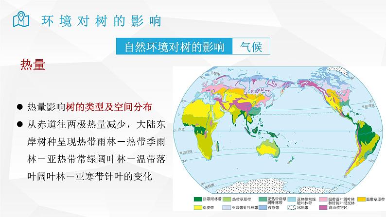 2025届高考地理二轮复习微专题课件35 树第4页