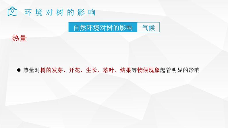 2025届高考地理二轮复习微专题课件35 树第6页