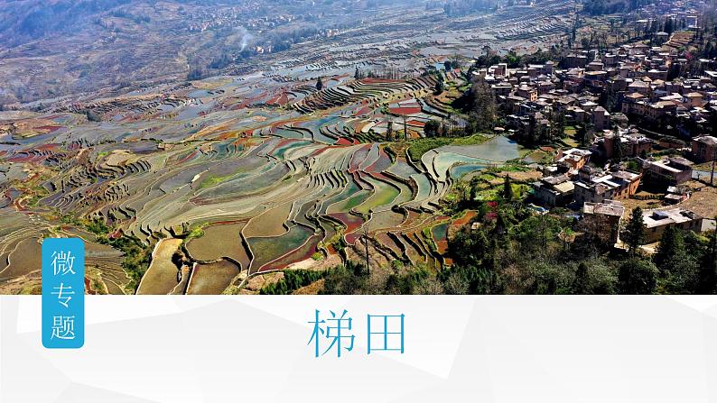 2025届高考地理二轮复习微专题课件30 梯田第1页