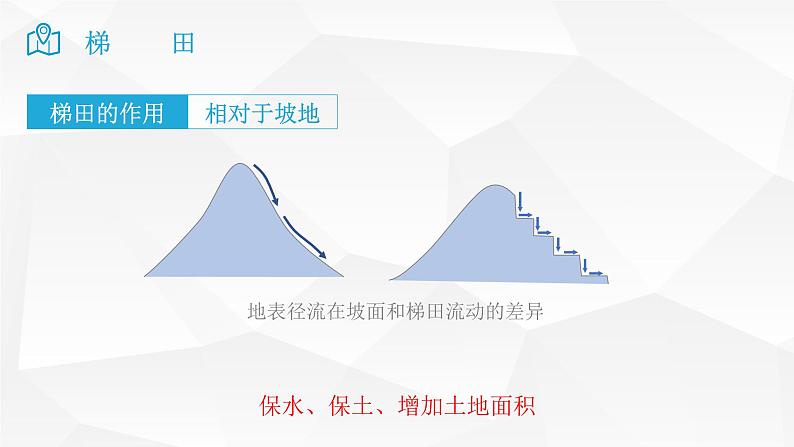 2025届高考地理二轮复习微专题课件30 梯田第4页