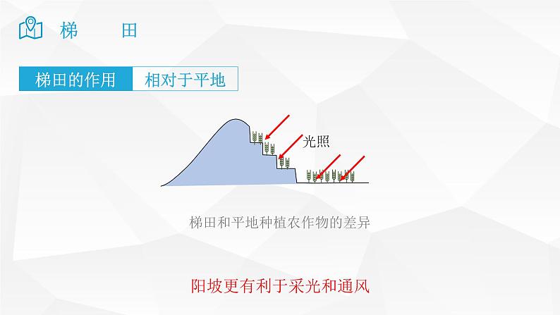 2025届高考地理二轮复习微专题课件30 梯田第5页