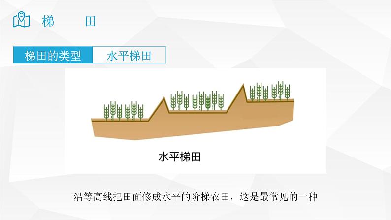 2025届高考地理二轮复习微专题课件30 梯田第7页