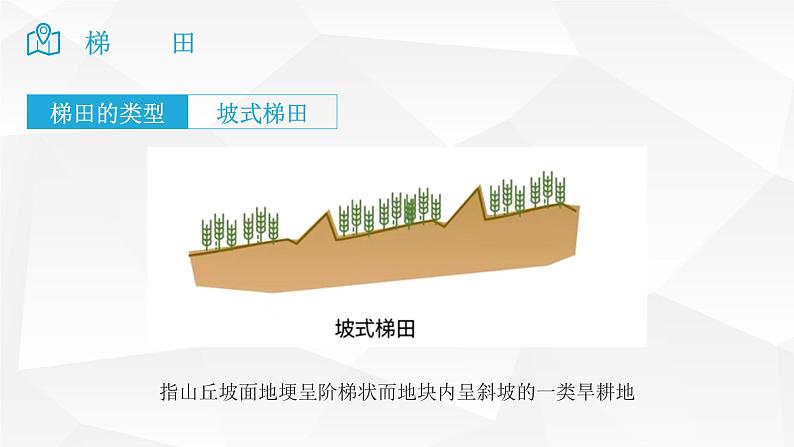 2025届高考地理二轮复习微专题课件30 梯田第8页