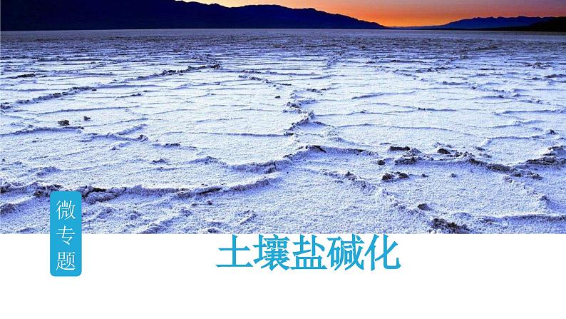 2025届高考地理二轮复习微专题课件24 土壤盐碱化第1页