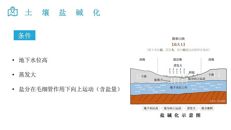 2025届高考地理二轮复习微专题课件24 土壤盐碱化第3页