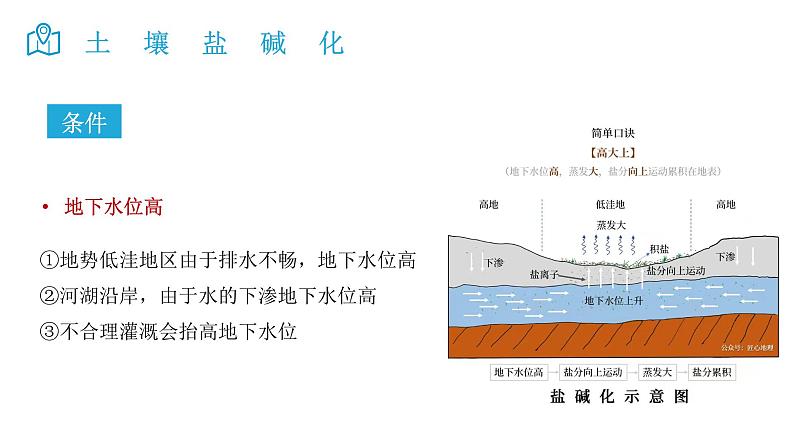 2025届高考地理二轮复习微专题课件24 土壤盐碱化第4页