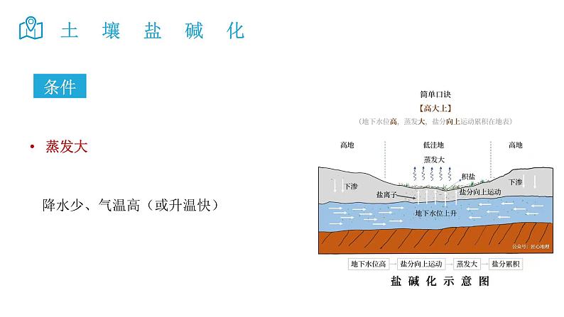 2025届高考地理二轮复习微专题课件24 土壤盐碱化第5页