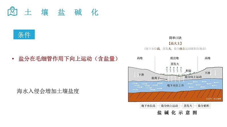 2025届高考地理二轮复习微专题课件24 土壤盐碱化第6页