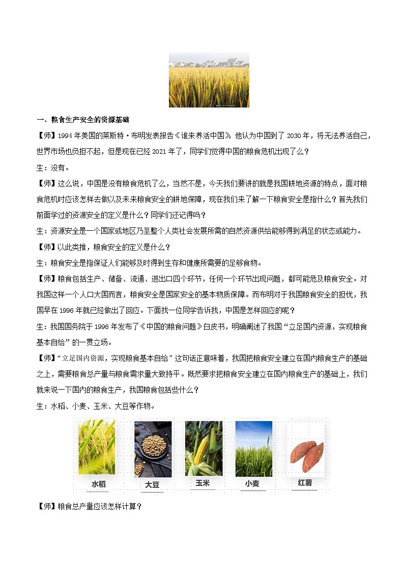 人教版（2019）高中地理必修第三册2.3《中国的耕地资源与粮食安全》（教学设计）第2页