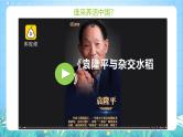 人教版（2019）高中地理必修第三册2.3《中国的耕地资源与粮食安全》课件+教案+分层练习