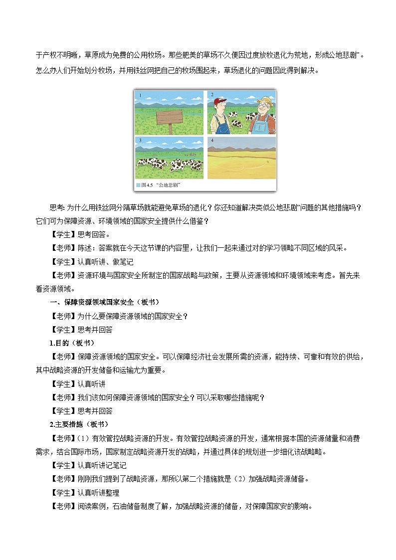 人教版（2019）高中地理必修第三册4.2《国家战略与政策》（教学设计）第2页