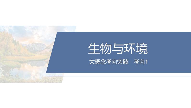 第三部分　大单元5　自然环境的整体性与差异性--2025年高考地理大二轮专题复习（课件）第3页