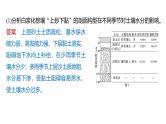 第一部分　素养2　专题5　主题5　土壤发育--2025年高考地理大二轮专题复习课件+讲义+专练