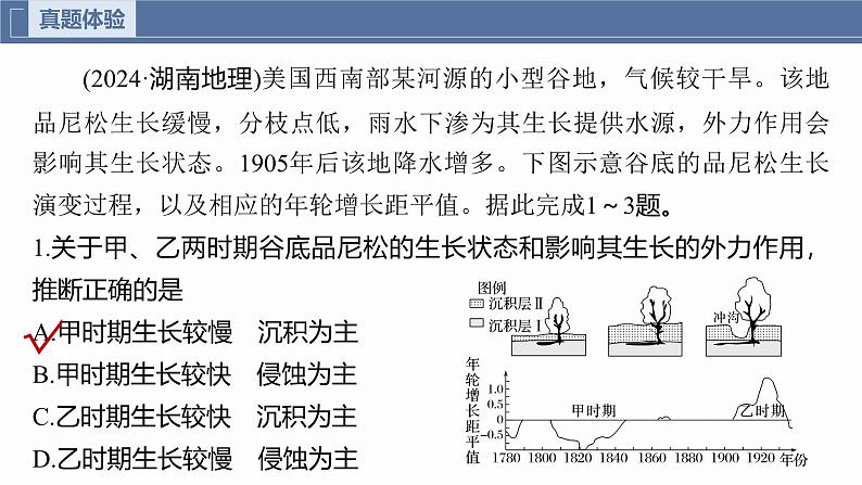 第一部分　素养2　专题5　主题6　植被演替--2025年高考地理大二轮专题复习（课件）第3页