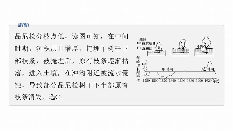 第一部分　素养2　专题5　主题6　植被演替--2025年高考地理大二轮专题复习（课件）第6页