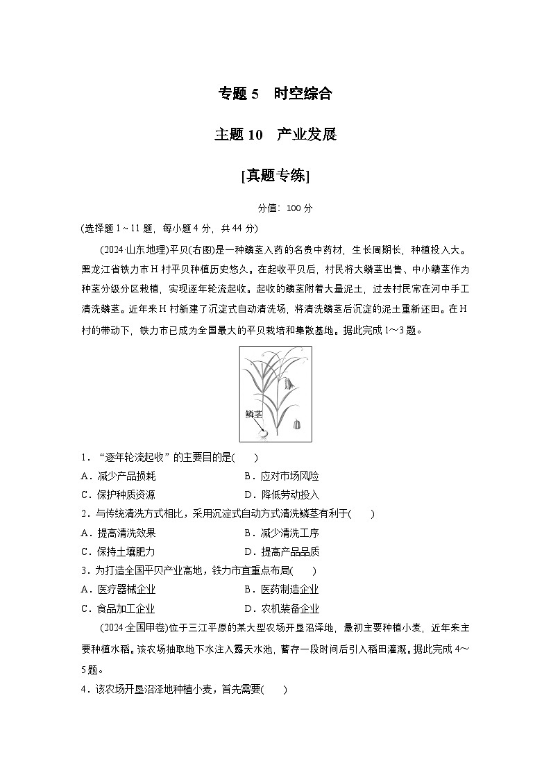 第一部分　素养2　专题5　主题10　产业发展 --2025年高考地理大二轮专题复习（强化练习）第1页