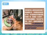人教版（2019）高中地理必修第二冊問題探究《低碳食品知多少》（課件）