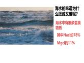 第二节 海水的性质（1）课件