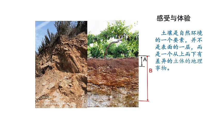 第二节 土壤 （2）课件第6页
