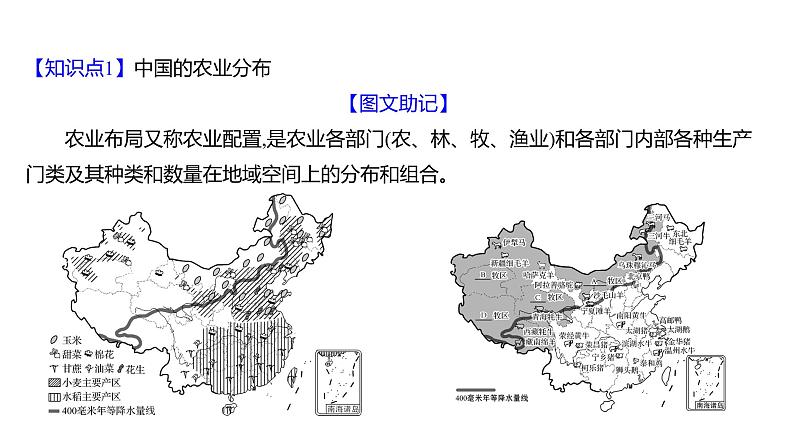 2025届高考地理一轮复习课件 第二篇  第18讲　中国的农业第3页