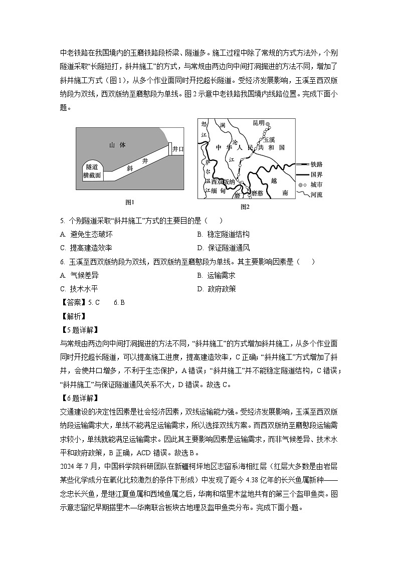 广西南宁市2024-2025学年高三上学期普通高中毕业班摸底测试地理试卷（解析版）第3页