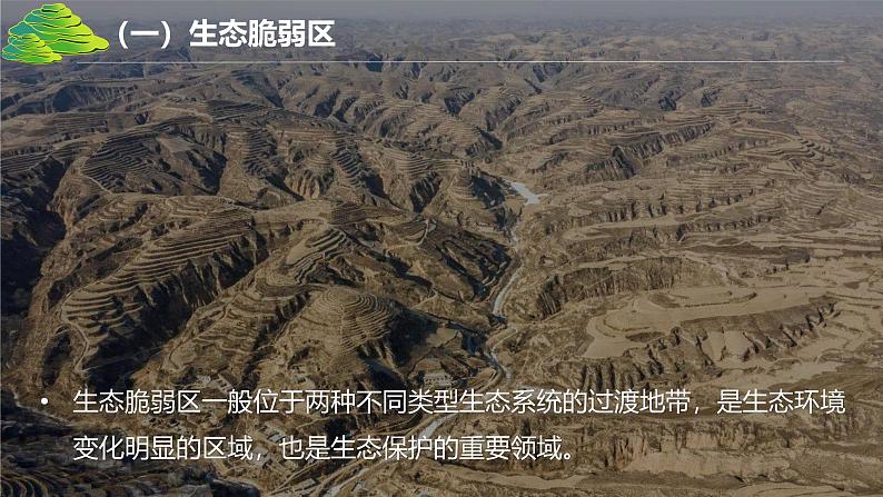 2.4黄土高原水土流失的治理-2024-2025学年高二地理课件（中图版2019选择性必修2）第7页