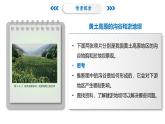 2.4黃土高原水土流失的治理-2024-2025學年高二地理課件（中圖版2019選擇性必修2）
