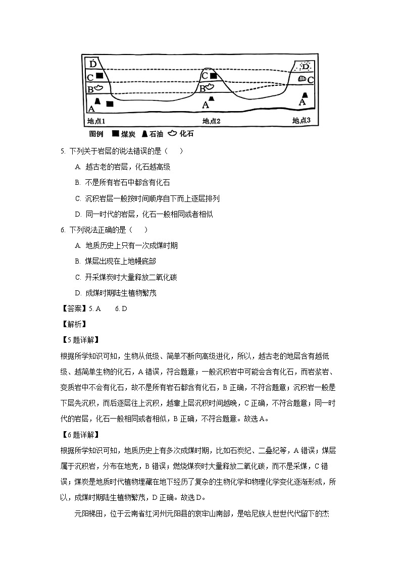 天津市西青区2024-2025学年高一上学期期末地理试题（解析版）第3页