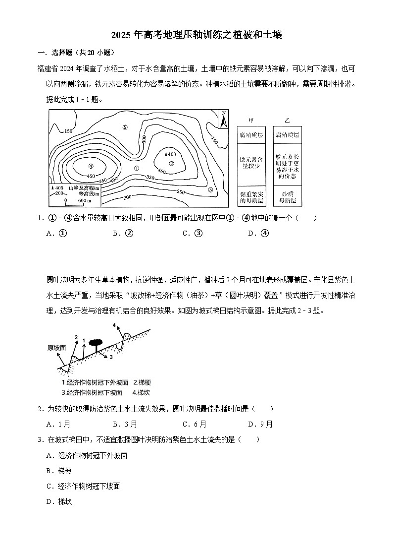 2025年高考地理解密 压轴训练 植被和土壤（Word版附解析）第1页