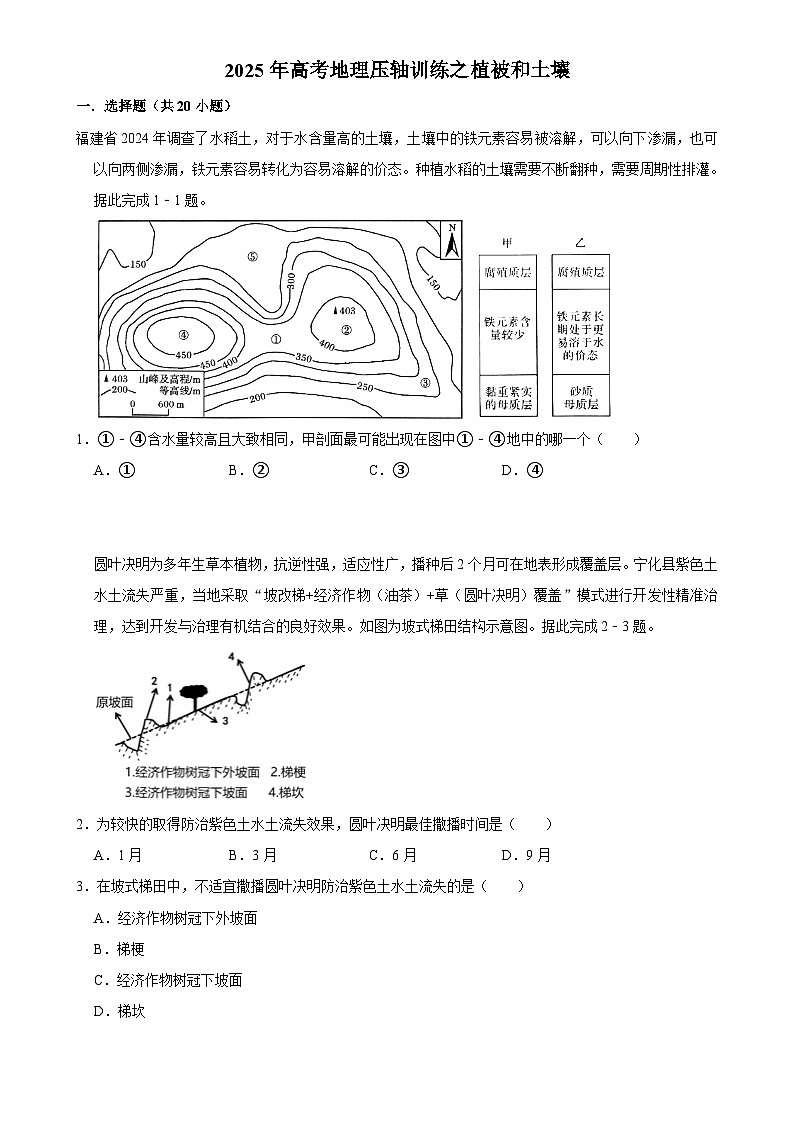2025年高考地理解密 压轴训练 植被和土壤练习（Word版附解析）第1页