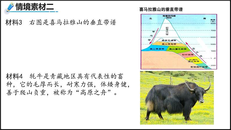 2024-2025学年高中地理（人教版2019）选择性必修一5-1自然环境的整体性课件第6页